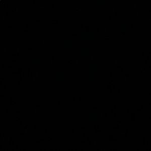 Meet your Posher, Abigail